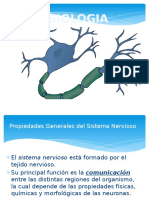 NEUROFISIOLOGIA