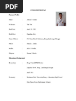 Curriculum Vitae 12