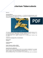 Mycobacterium Tuberculosis