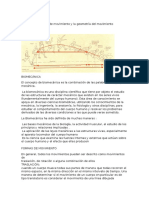 Patrones de Movimiento y La Geometría Del Movimiento