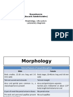 Roundworm (Ascaris Lumbricoides) : Morphology, Life Cycle & Laboratory Diagnosis