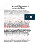 Development and Maintenance of Hematopoietic Tissues: Colony-Forming Units (Cfus)