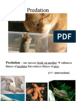 Predation Presentation