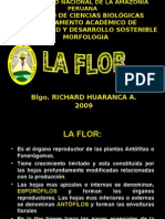 La Flor Morfologia