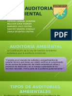 Guía de Auditoria Ambiental