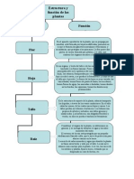 Estructura y Funcion de Las Plantas