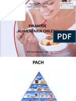 Piramide Alimentaria Chilena