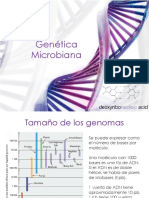 GeneticaMicrobiana A