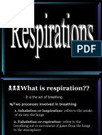 Respiratory Rate