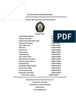 Lingkungan Pengendapan Batubara - Estuari