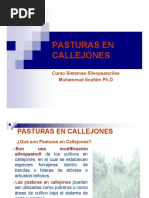 Clase Pasturas en Callejones 2011