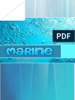 Marine Report