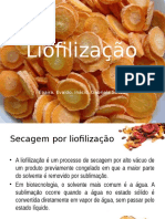 Liofilização Slides