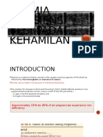 Anemia Defisiensi Pada Kehamilan