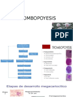 TROMBOPOYESIS