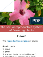 The Sexual Reproductive System of Flowering Plants