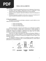 Tema 6 Escalamiento