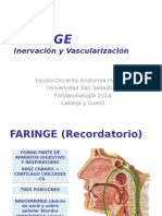 Clase Faringe Inervación y Vascularización