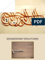 Sedimentary Structures