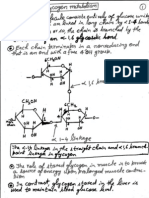 Glycogen Synthesis