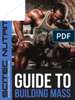 Guide To Building Mass en