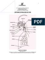 Anatomia e Fisiologia Da Voz