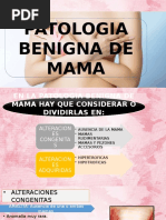 Patologia Benigna de Mama