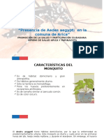 Presentación Aedes Aegypti