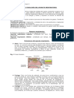 Resumen Anatomia y Fisiologia Del Sistema Respiratorio