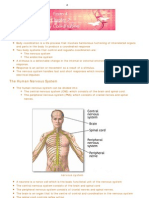 SPM Science Notes - Body Coordination