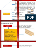 Techos Naturales