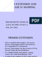 Primer Extension, and Nuclease Mapping