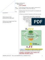 Catabolic Pathways