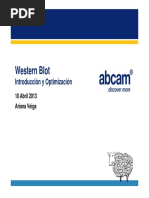 Western Blot PDF