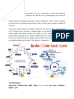 Krebs Cycle