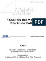 AMEF Final