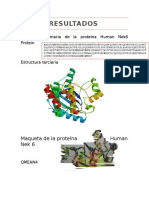 Resultados Human Nek6 Protein