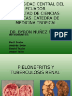 Pielonefritis y TB Renal