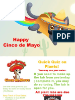 Happy Cinco de Mayo