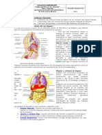 Guia de Aprendizajenb3 Sistemas Del Cuerpo Humano1