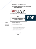 Ensayo de Contaminacion Minera