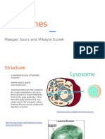 Lysosomes