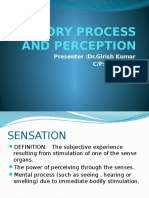 Sensory Process and Perception