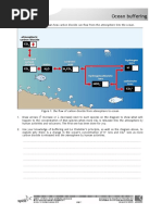 Ocean Acidification