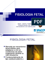 Fisiologia Fetal