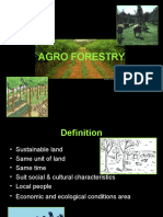 6.agroforestry Social Forestry