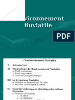 L'Environnement Fluviatile