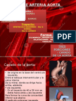 Sistema de La Aorta