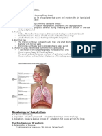 HB Respiration