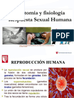 Respuesta Sexual Humana